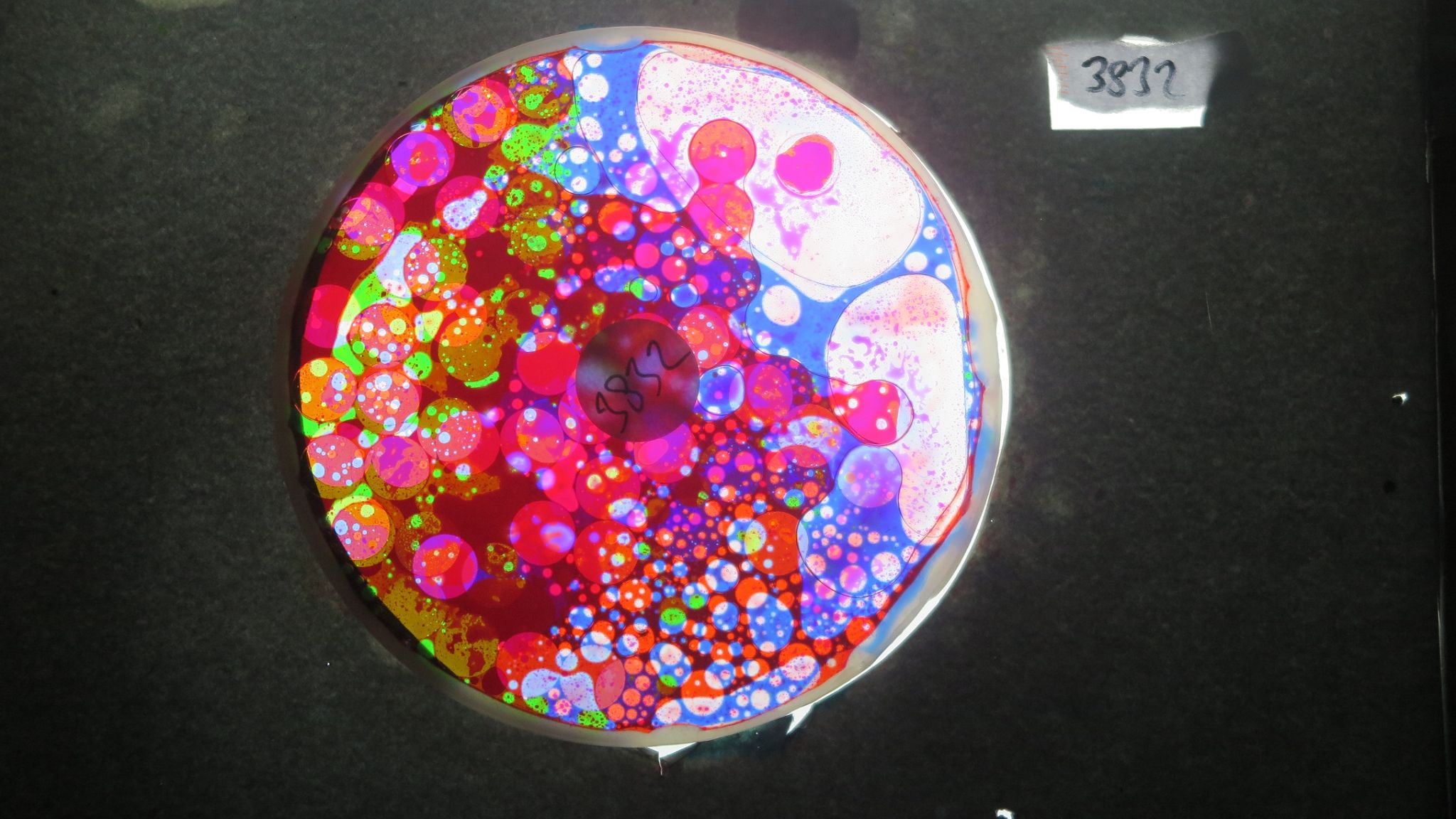 BV3832 bubble vision oil wheel